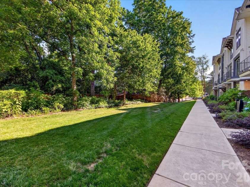 4136 Castleton Road, Charlotte, NC 28211.  MLS# CAR4381124, YatesRealty ID 24040. A beautiful green space/common area is located across from the townhome.
