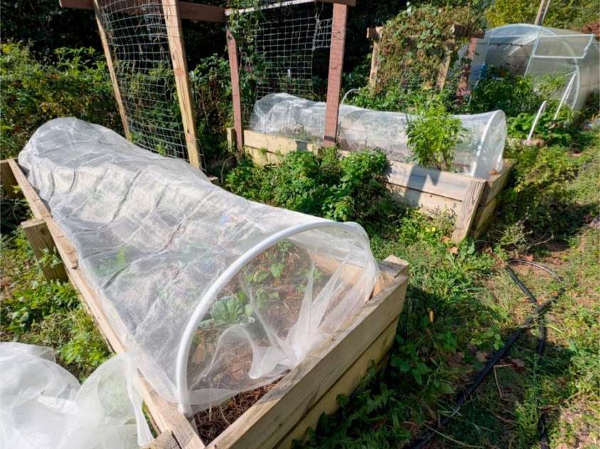 6 Sunrise Valley, Leicester, NC 28748.  MLS# CAR4283211, YatesRealty ID 2412. Garden