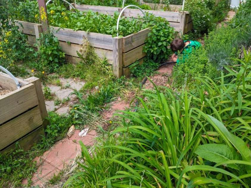 6 Sunrise Valley, Leicester, NC 28748.  MLS# CAR4283211, YatesRealty ID 2412. Garden