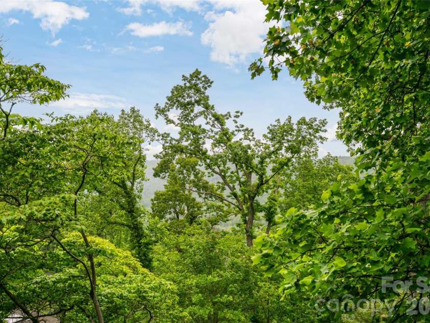 8 Delano Road, Asheville, NC 28805.  MLS# CAR4373793, YatesRealty ID 24125. 