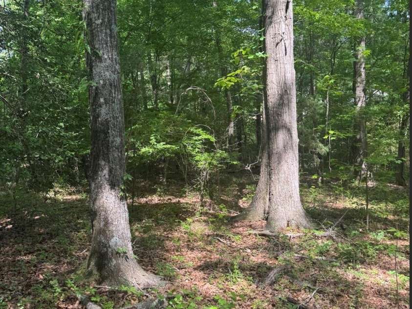 1739 Westbrook Road, Edgemoor, SC 29712.  MLS# CAR4381776, YatesRealty ID 24193. 