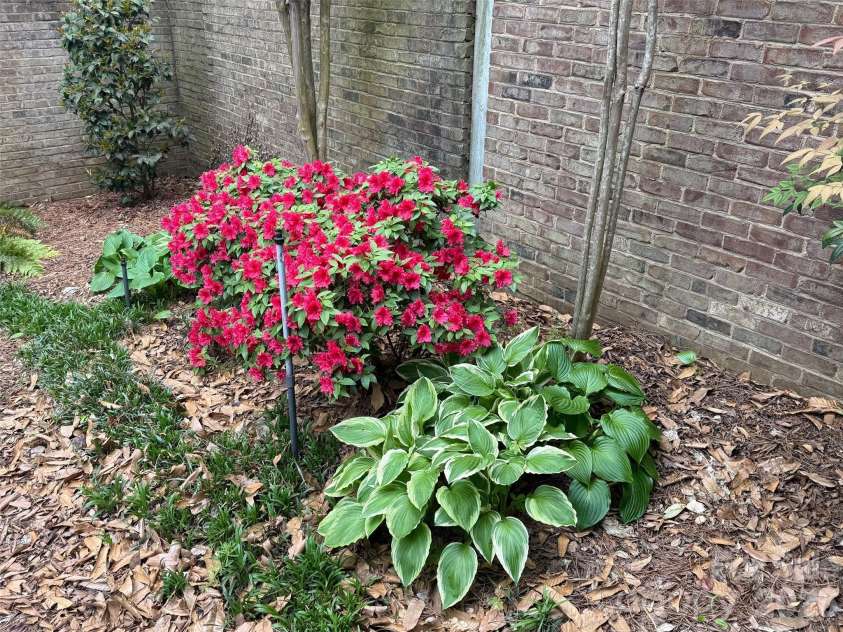 8952 Challis Hill Lane, Charlotte, NC 28226.  MLS# CAR4383322, YatesRealty ID 24254. 