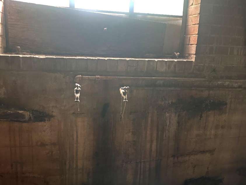 2870 Rutherford College Road, Connelly Springs, NC 28612.  MLS# CAR4276974, YatesRealty ID 24258. 