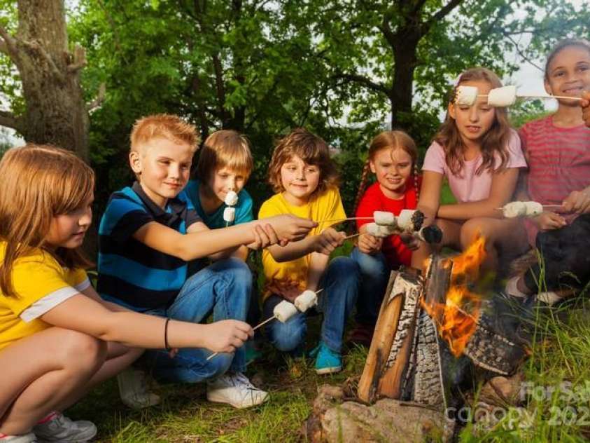 193 Falls View Drive, Lake Toxaway, NC 28747.  MLS# CAR4267831, YatesRealty ID 24289. Campfire and s'mores  outside in your backyard