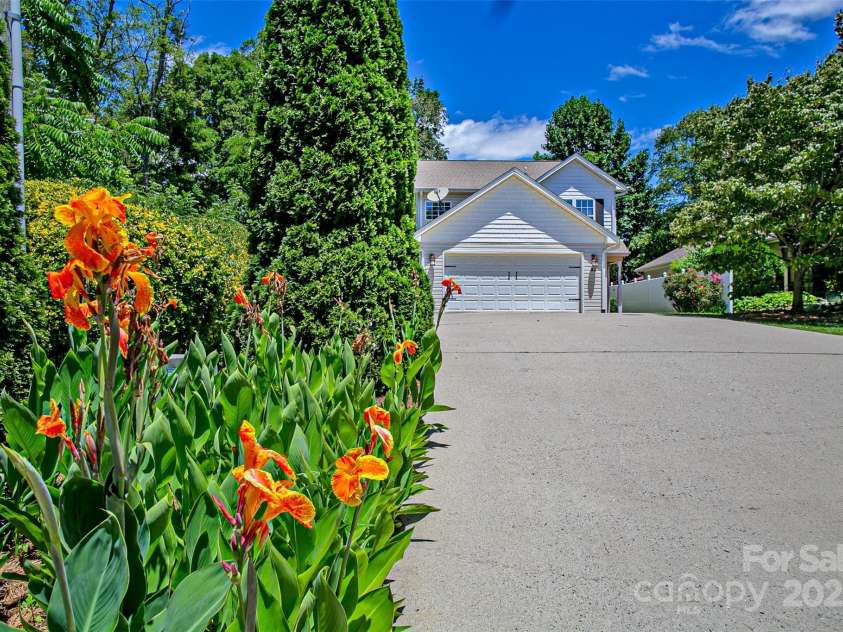 23 Allen Avenue, Asheville, NC 28803.  MLS# CAR4267376, YatesRealty ID 24311. Beautiful irises and roses on the property