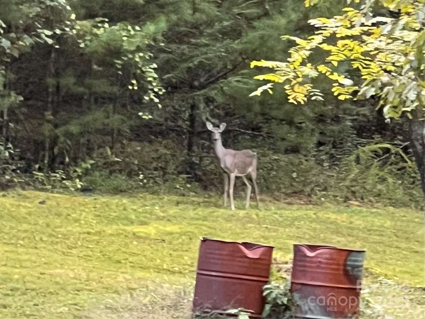 3788 Fish Hatchery Road, Morganton, NC 28655.  MLS# CAR4309774, YatesRealty ID 24321. 