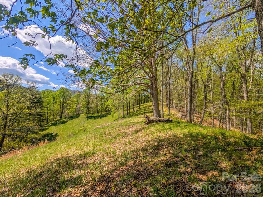 572 Pleasant Valley Road, Burnsville, NC 28714.  MLS# CAR4368614, YatesRealty ID 24340. 