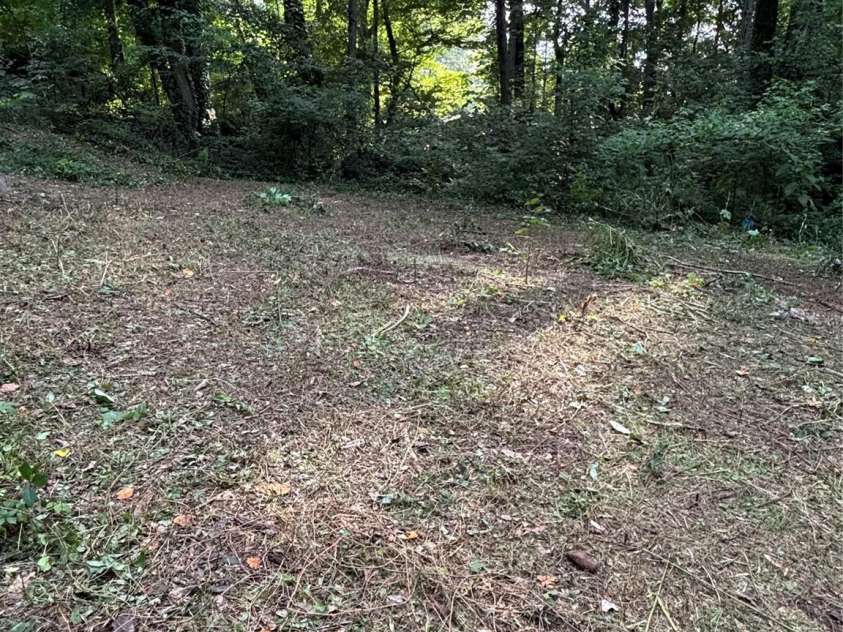 226 Lake Sylvia Road, Lincolnton, NC 28092.  MLS# CAR4267885, YatesRealty ID 24382. 