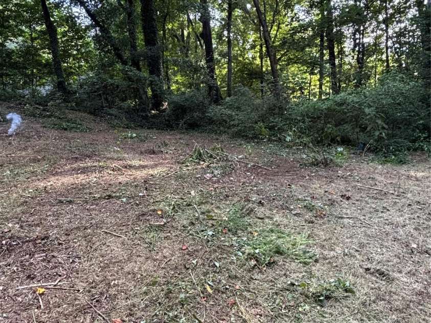 226 Lake Sylvia Road, Lincolnton, NC 28092.  MLS# CAR4267885, YatesRealty ID 24382. Clearing the backyard