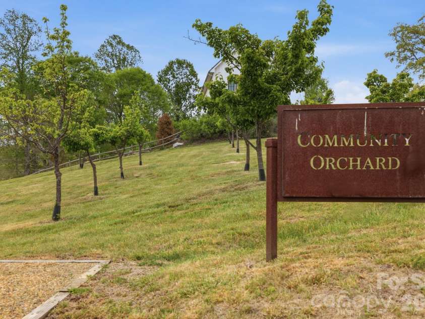 244 Westridge Farm Road, Asheville, NC 28804.  MLS# CAR4371030, YatesRealty ID 24441. Community Orchard