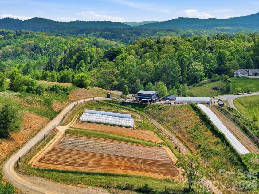 244 Westridge Farm Road, Asheville, NC 28804.  MLS# CAR4371030, YatesRealty ID 24441. Olivette's working organic farm 