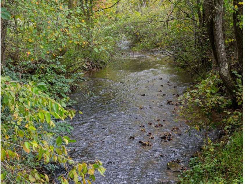 71 Happy Valley Drive, Mills River, NC 28759.  MLS# CAR4312252, YatesRealty ID 245. 