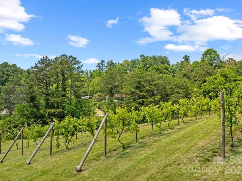 41 Bell Sprinkle Road, Weaverville, NC 28787.  MLS# CAR4268060, YatesRealty ID 24576. Vineyard