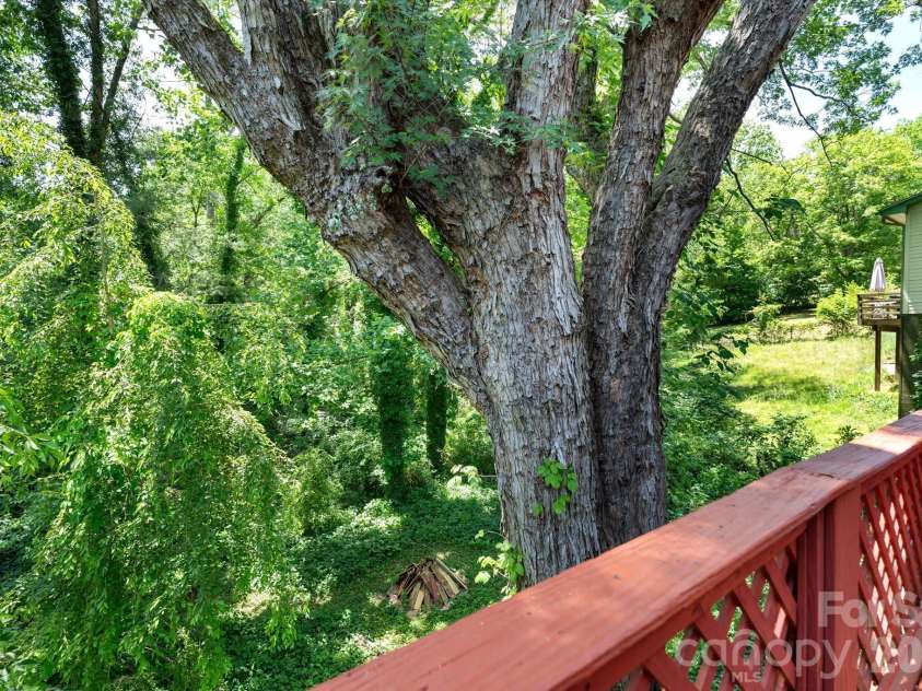 224 Aurora Drive, Asheville, NC 28805.  MLS# CAR4382926, YatesRealty ID 24577. 