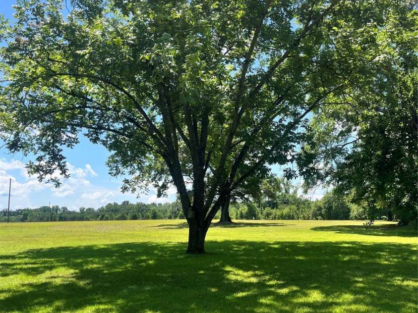 4070 Timrod Road, Bethune, SC 29009.  MLS# CAR4278257, YatesRealty ID 24584. 