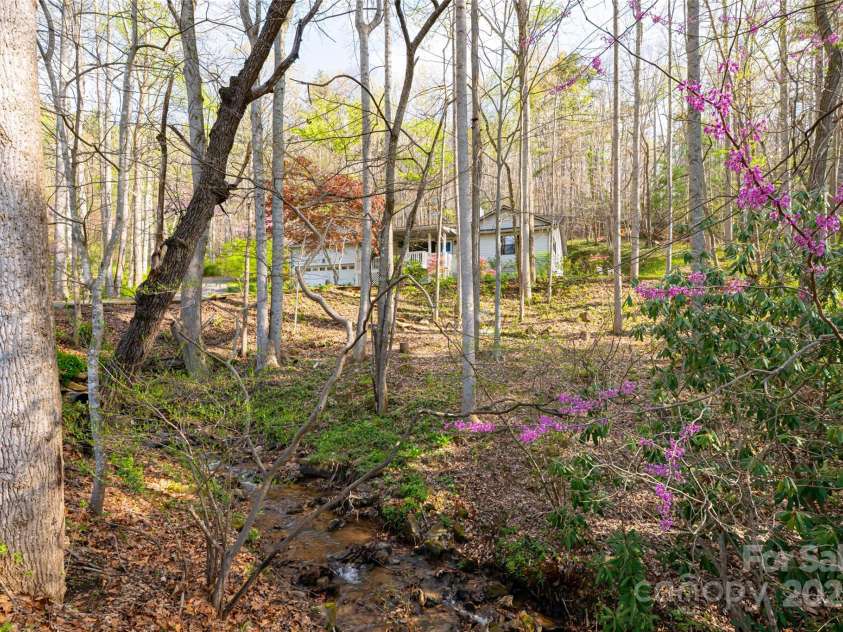 21 Mann Road, Asheville, NC 28805.  MLS# CAR4241057, YatesRealty ID 24588. Natural Low Maintenance Front Yard