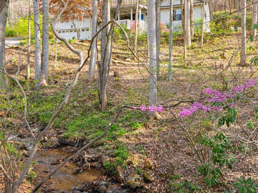 21 Mann Road, Asheville, NC 28805.  MLS# CAR4241057, YatesRealty ID 24588. Natural Low Maintenance Front Yard