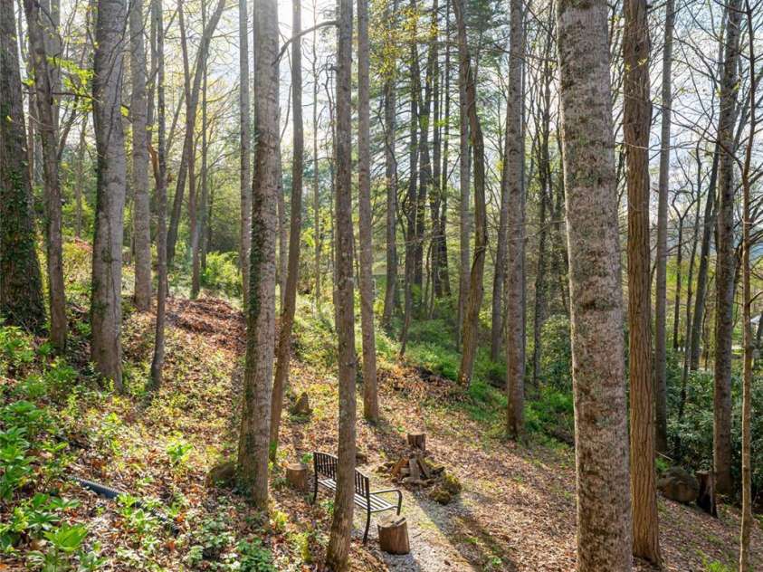 21 Mann Road, Asheville, NC 28805.  MLS# CAR4241057, YatesRealty ID 24588. Wooded Lot