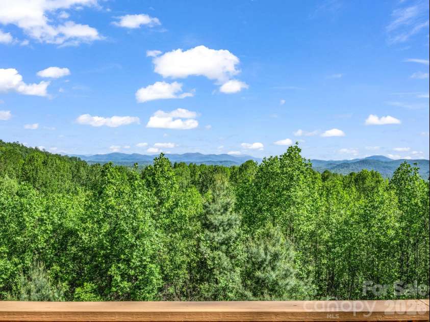 603 Pace Mountain Road, Saluda, NC 28773.  MLS# CAR4375327, YatesRealty ID 24588. 
