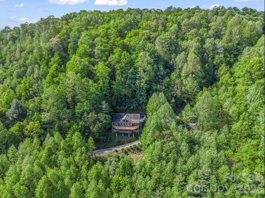 603 Pace Mountain Road, Saluda, NC 28773.  MLS# CAR4375327, YatesRealty ID 24588. 
