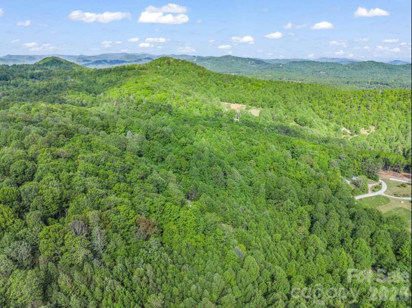 603 Pace Mountain Road, Saluda, NC 28773.  MLS# CAR4375327, YatesRealty ID 24588. 