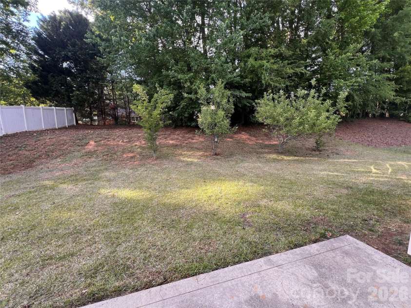 7709 Greylock Ridge Road, Matthews, NC 28105.  MLS# CAR4374056, YatesRealty ID 24593. Backyard (Fruit Trees)