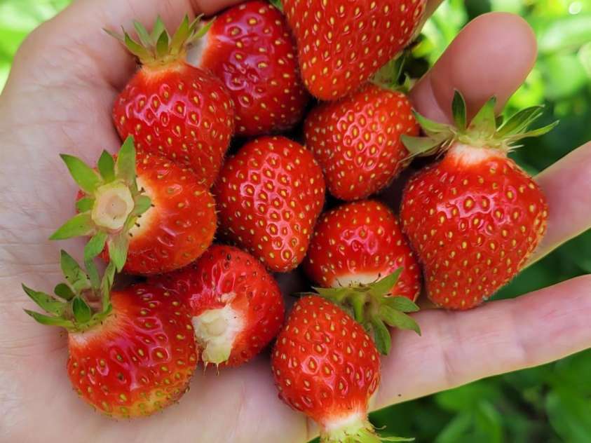 75 Cisco Road, Asheville, NC 28805.  MLS# CAR4269545, YatesRealty ID 24596. 