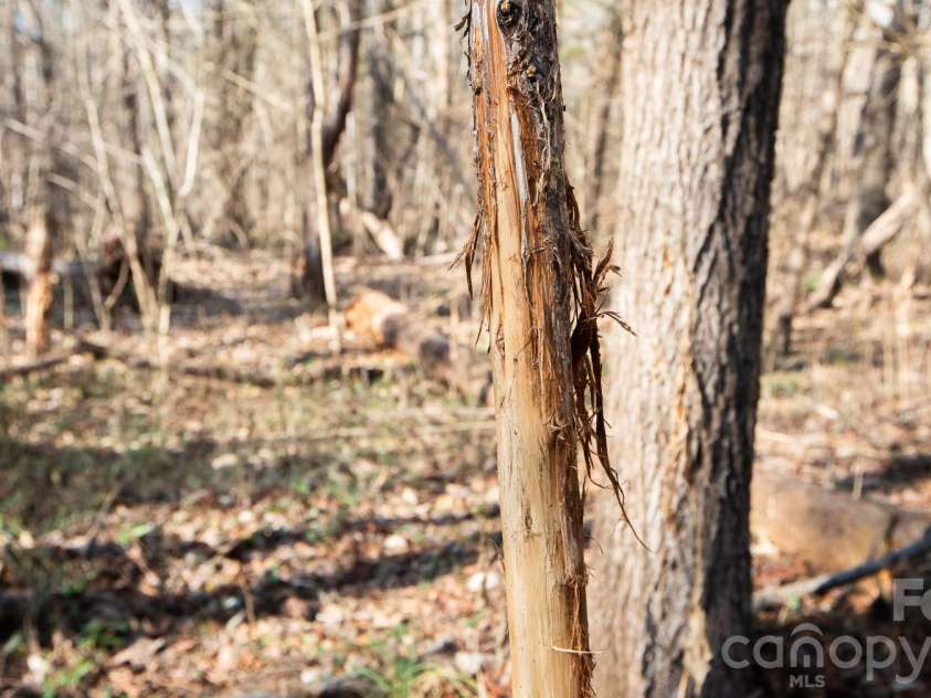 530 Upright Road, Mt Ulla, NC 28125.  MLS# CAR4337606, YatesRealty ID 2460. 