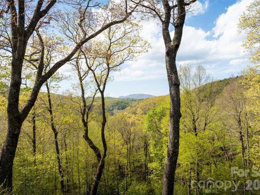 497 Black Locust Circle, Blowing Rock, NC 28605.  MLS# CAR4379126, YatesRealty ID 24603. 