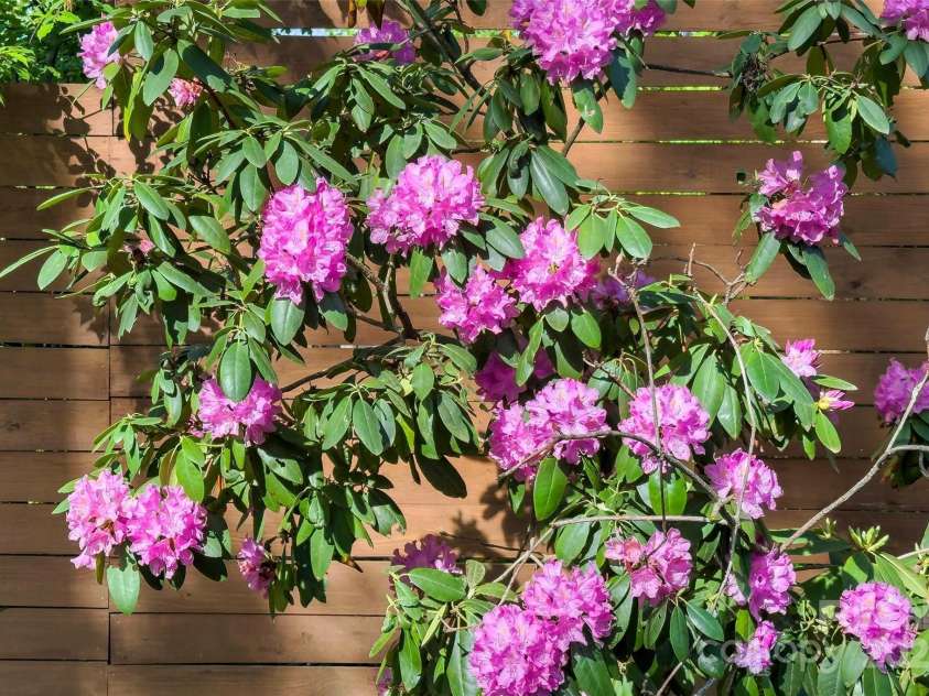 143 Beverly Road, Asheville, NC 28805.  MLS# CAR4287185, YatesRealty ID 24608. 