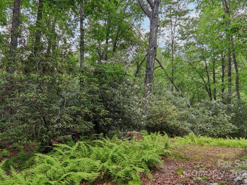 1184 Salola Lane, Brevard, NC 28712.  MLS# CAR4276792, YatesRealty ID 24618. 