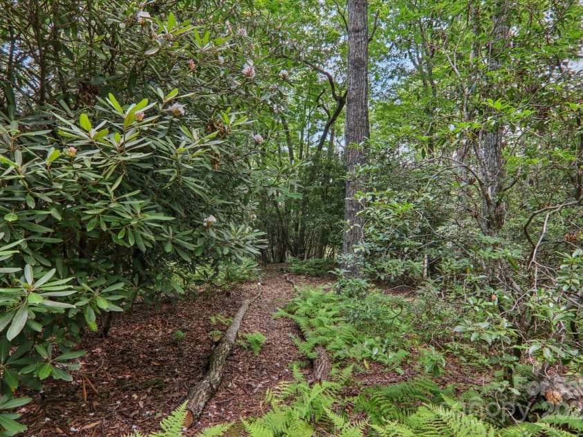 1184 Salola Lane, Brevard, NC 28712.  MLS# CAR4276792, YatesRealty ID 24618. 