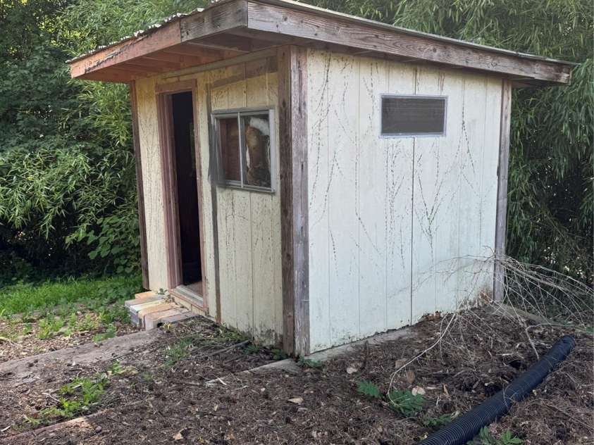 1239 8th Street, Hickory, NC 28601.  MLS# CAR4274654, YatesRealty ID 24690. Shed