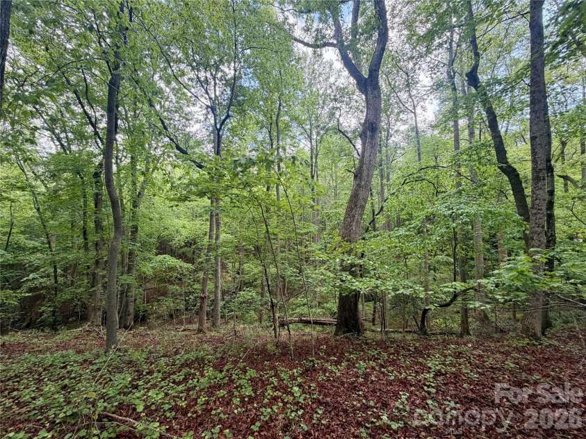 232 Chase Drive, Forest City, NC 28043.  MLS# CAR4375456, YatesRealty ID 24723. 