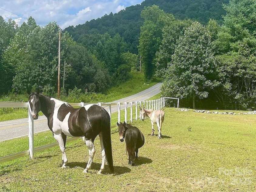 259 & 265 Black Oak Cove Road, Candler, NC 28715.  MLS# CAR4256200, YatesRealty ID 24751. 