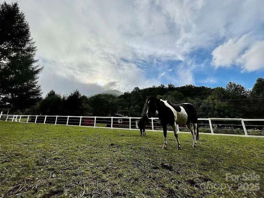 259 & 265 Black Oak Cove Road, Candler, NC 28715.  MLS# CAR4256200, YatesRealty ID 24751. 