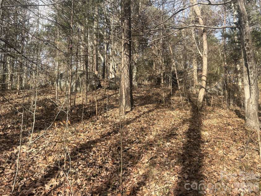 11443 Mooresville Road, Davidson, NC 28036.  MLS# CAR4329658, YatesRealty ID 2479. 