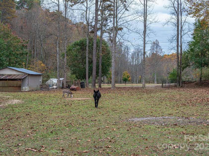 5016 NC Hwy 90 Highway, Collettsville, NC 28611.  MLS# CAR4195400, YatesRealty ID 248. Front Pastures