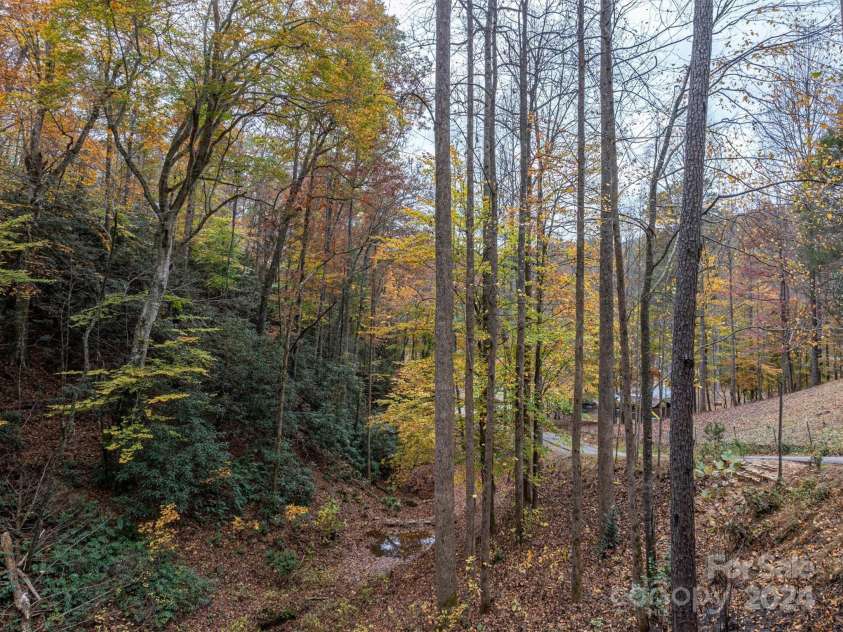 5016 NC Hwy 90 Highway, Collettsville, NC 28611.  MLS# CAR4195400, YatesRealty ID 248. Woods