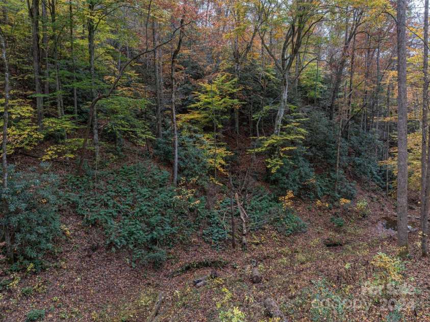 5016 NC Hwy 90 Highway, Collettsville, NC 28611.  MLS# CAR4195400, YatesRealty ID 248. Woods