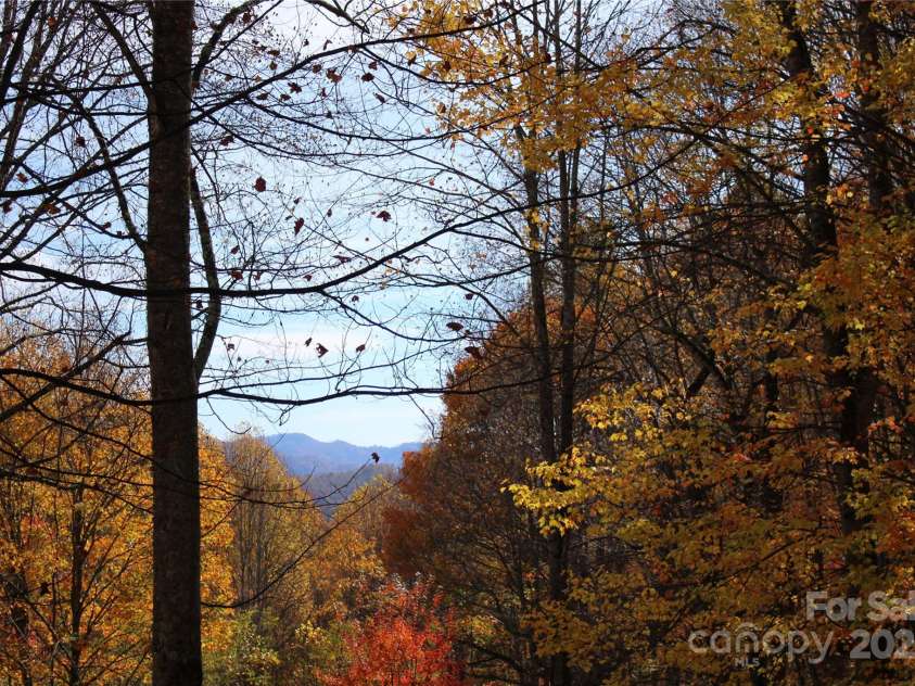 1571 Roaring Fork Road, Burnsville, NC 28714.  MLS# CAR4309867, YatesRealty ID 2480. 