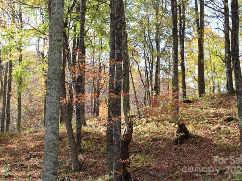 1571 Roaring Fork Road, Burnsville, NC 28714.  MLS# CAR4309867, YatesRealty ID 2480. 