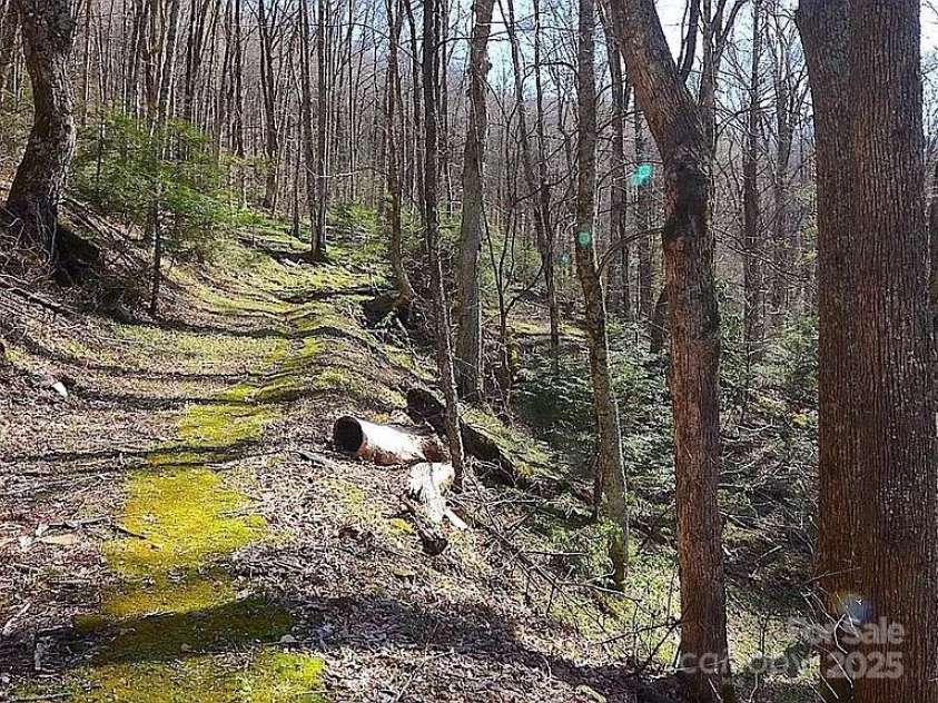 617 Norton Fork Road, Hot Springs, NC 28743.  MLS# CAR4274802, YatesRealty ID 24802. 