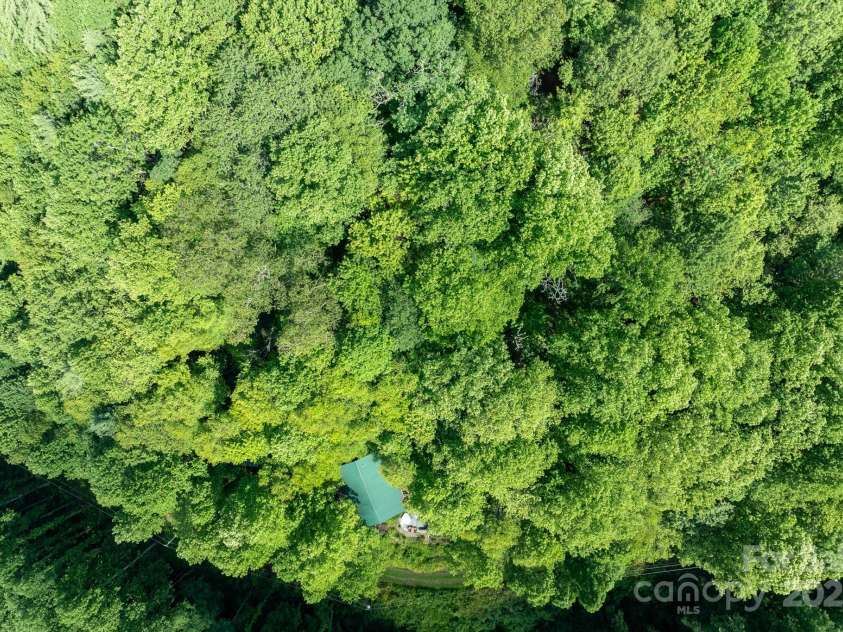 55 Bearwallow Road, Leicester, NC 28748.  MLS# CAR4278949, YatesRealty ID 24812. 