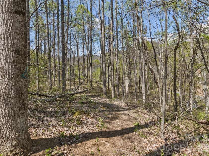 53 Benfield Road, Weaverville, NC 28787.  MLS# CAR4352245, YatesRealty ID 24816. 