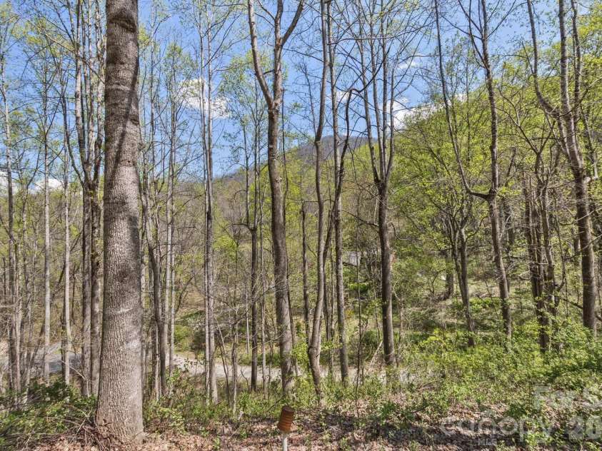 53 Benfield Road, Weaverville, NC 28787.  MLS# CAR4352245, YatesRealty ID 24816. 