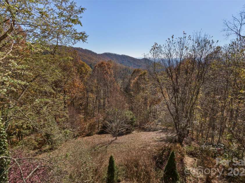909 Town Mountain Road, Asheville, NC 28804.  MLS# CAR4233490, YatesRealty ID 2483. The landscaped terrace are a beautiful escape to nature and a perfect area for a gardener to enjoy adding perennials for spring, summer and fall color.