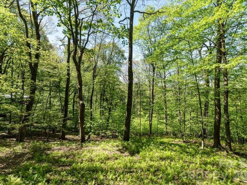 524 McDaris Loop Drive, Mars Hill, NC 28754.  MLS# CAR4380210, YatesRealty ID 24837. 