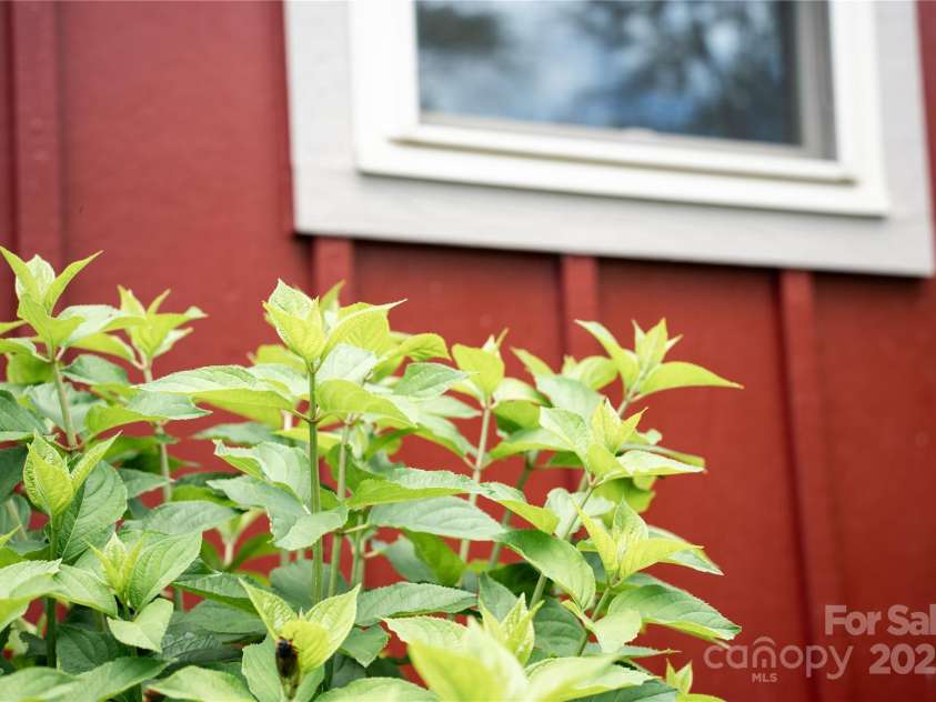 104 Wheeler Road, Weaverville, NC 28787.  MLS# CAR4260241, YatesRealty ID 24882. Mature Landscaping