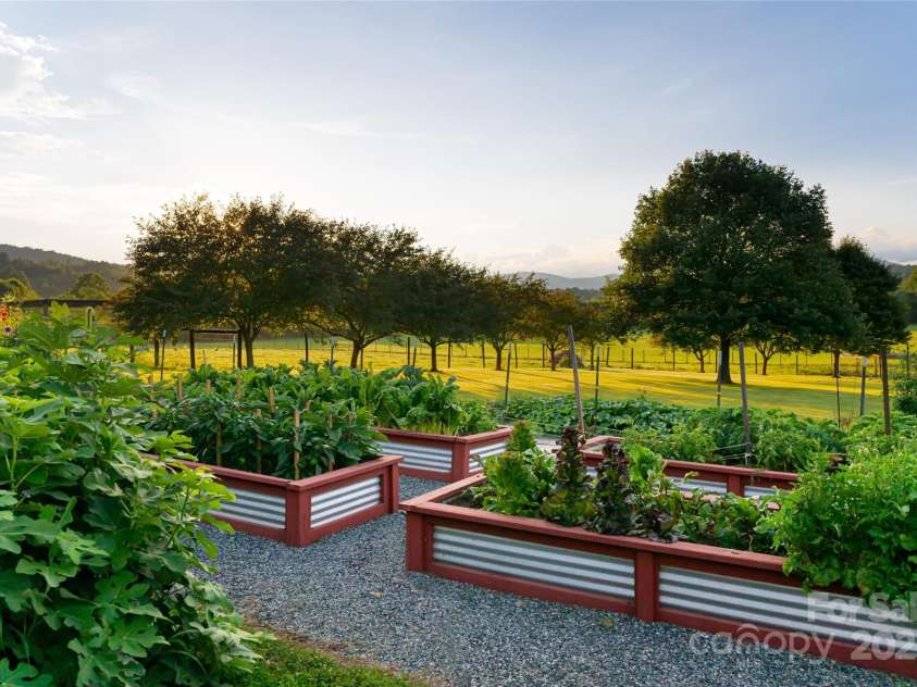 280 Walnut Hollow Road, Brevard, NC 28712.  MLS# CAR4235278, YatesRealty ID 2491. Enjoy expansive gardens and orchards.